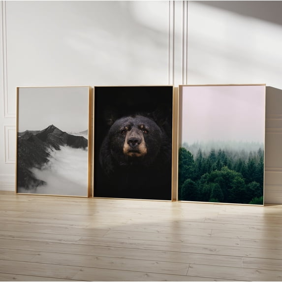 Forest Wildlife Nature Wild Bear Photography Minimalist Mountains ...