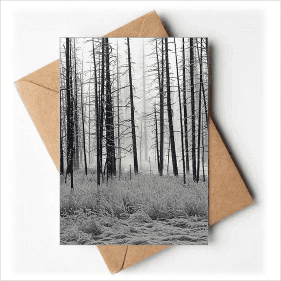 Forest Winter Snow Trees Frost Greeting Cards You are Invited Invitations