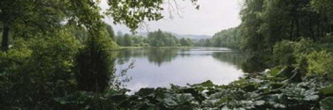 Forest along a river Sjolangs Sweden Canvas Art - Panoramic Images (18 x 6)