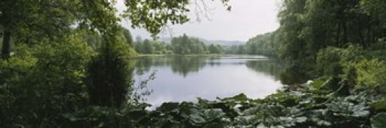 Forest along a river Sjolangs Sweden Canvas Art - Panoramic Images (36 x 12)
