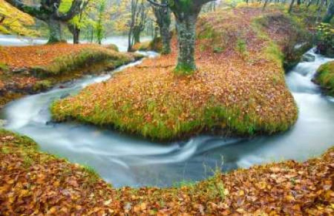 Forest and river 846 Canvas Art - JA Palacios (12 x 18)