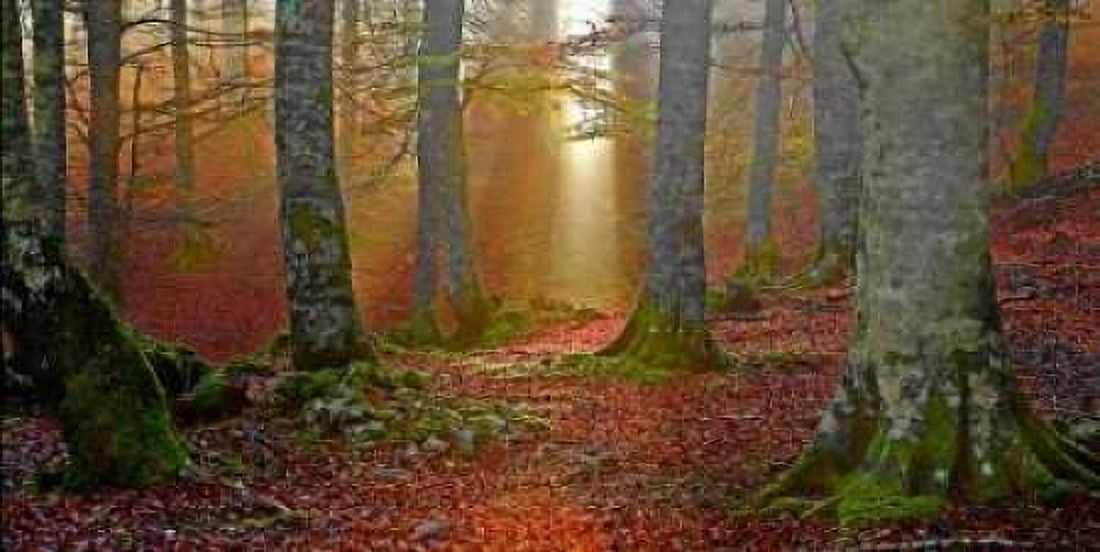 Forest and sunbeam 820 Canvas Art - JA Palacios (10 x 20)