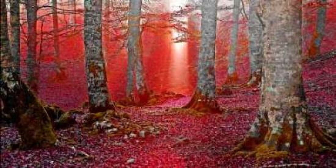 Forest and sunbeam 821 Canvas Art - JA Palacios (10 x 20)