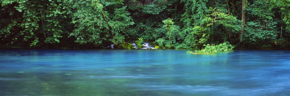 Forest at the riverside Big Spring Ozark National Scenic Riverways Missouri USA Canvas Art - Panoramic Images (36 x 12)