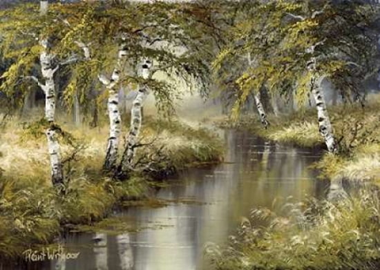 Forest creation Canvas Art - Reint Withaar (20 x 28)
