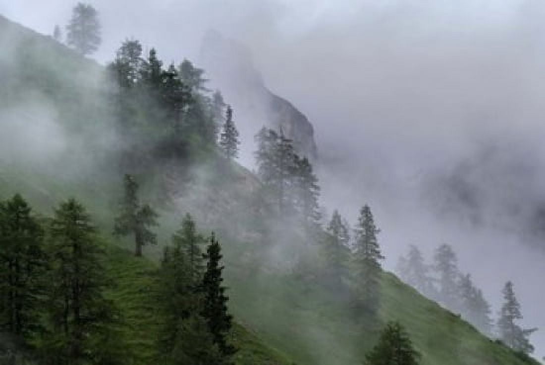 Forest in Tyrol Austria Canvas Art - Martin Zwick DanitaDelimont (33 x 23)