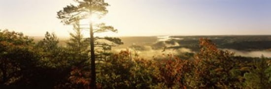 Forest in autumn at sunset Ottawa National Forest Upper Peninsula Michigan USA Canvas Art - Panoramic Images (36 x 12)
