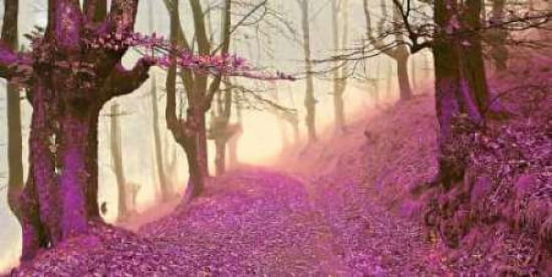 Forest in purple 827 Canvas Art - JA Palacios (10 x 20)