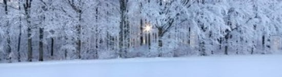 Forest in winter at sunrise Swabian Alb Baden-Wurttemberg Germany Canvas Art - Panoramic Images (42 x 12)