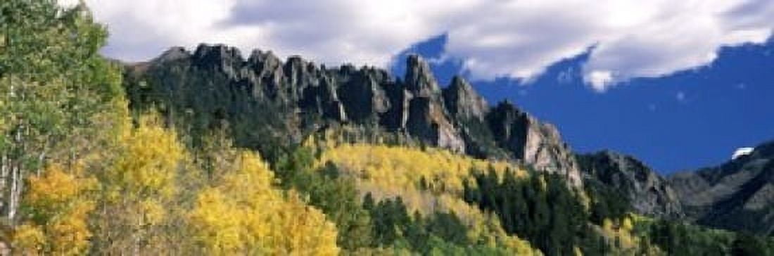 Forest on a mountain Jackson Guard Station Ridgway Colorado USA Canvas Art - Panoramic Images (18 x 6)