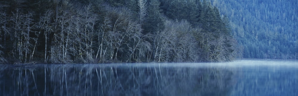 Forest reflecting into Lake Crescent on a misty morning Olympic National Park Washington Canvas Art - Panoramic Images (27 x 9)
