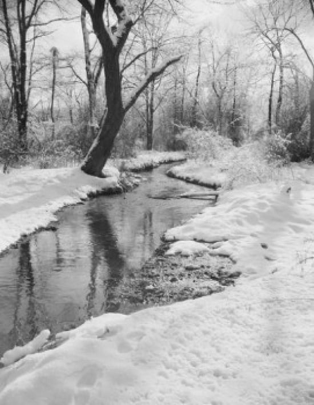 Forest with creek in winter Canvas Art - (18 x 24)