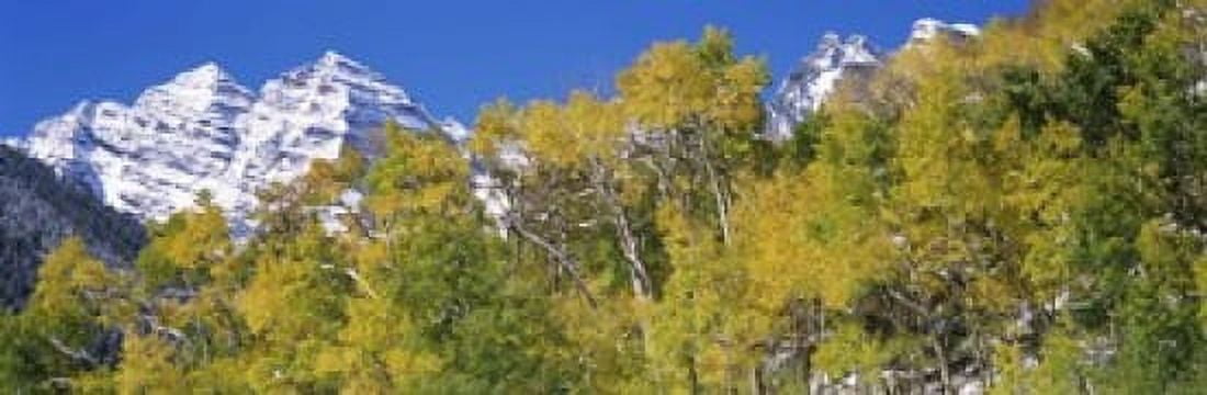 Forest with snowcapped mountains in the background Maroon Bells Aspen Pitkin County Colorado USA Canvas Art - Panoramic Images (18 x 6)