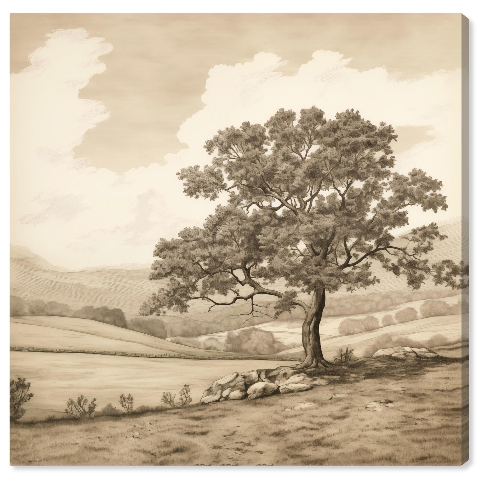 Forested Antiquity Vintage Landscape Gallery Wrapped Canvas, 12" x 12"