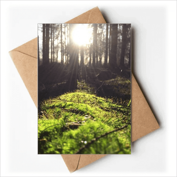 Forestry Science Nature Scenery Greeting Cards You are Invited Invitations