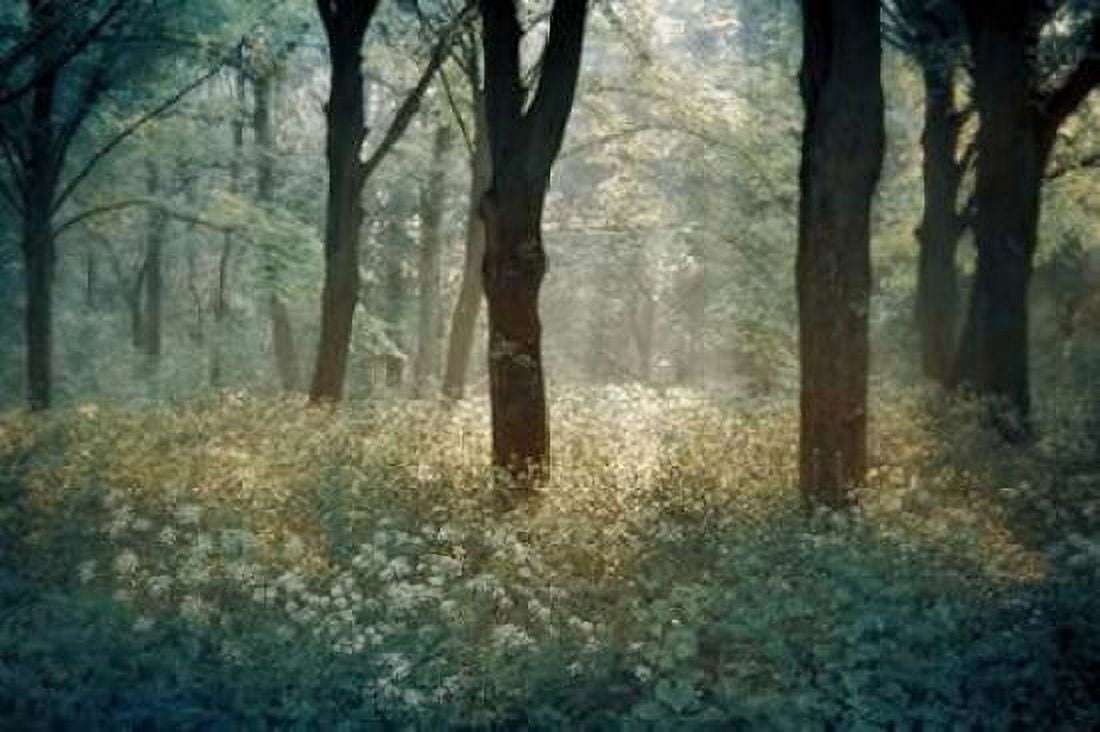 Foret De Canvas Art - Lars Van de Goor (24 x 36)