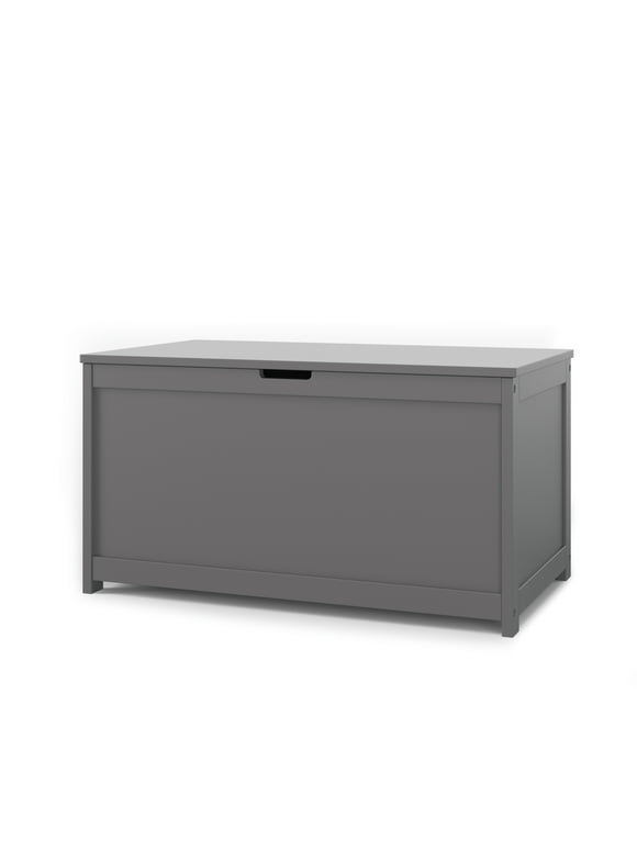 Forever Eclectic Harmony 32" Kids Toy Box Storage Chest, Cool Gray