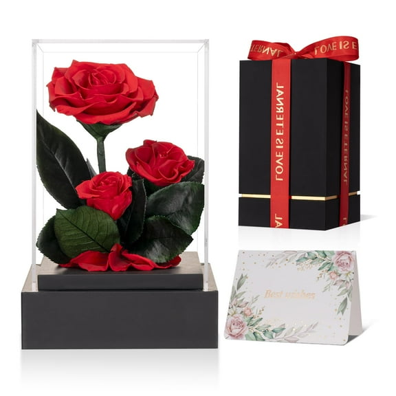 Forever Fresh Flower Preserved Rose - Lasting 3 to Immortal Roses Eternal Love for Her Women Mom Wife Girlfriend Grandma Valentines Mothers Day Birthday Anniversary Christmas Romantic Gift Red C113