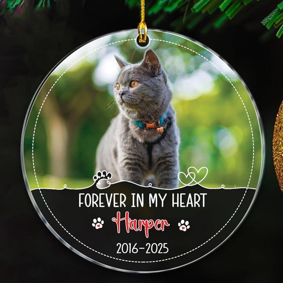Forever In My Heart Xmas Ornaments Gift For Who Loss Of Cat, Cat Remembrance Christmas Ornament 2025, Year Name Cats Memorial Ornament, Photo Frame Cats Sympathy Xmas Ornaments
