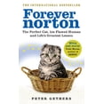 thumbnail image 1 of Pre-Owned Forever Norton (Paperback) 0091933307 9780091933302, 1 of 1