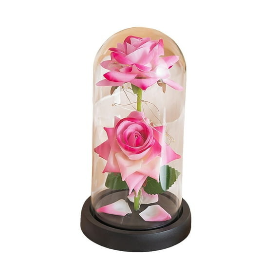 Forever Preserved Rose Flower Birthday Valentine's Day Gifts for Women Light Up Rose Flowers in Glass Dome for Her,Wife,Thanksgiving,Anniversary