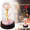 thumbnail image 1 of Forever Preserved Rose, Preserved Rose Gifts for Women, Eternal Gold Foil Red Rose in Plastic Dome with LED Light, Valentines Mother's Day Birthday Anniversary Gifts for Women Mom Wife Girlfriend Her, 1 of 9