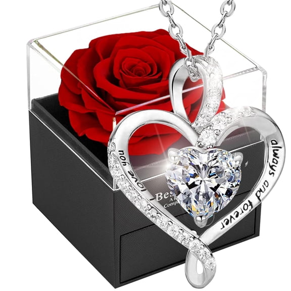 Forever Red Rose Gift Box,Eternal Flower, Preserved Rose, Real Rose Gift for Girlfriend, Women, Mom, Wife on Christmas, Valentine's Day, Mother's Day, Birthday, Anniversary, Thanksgiving Y101