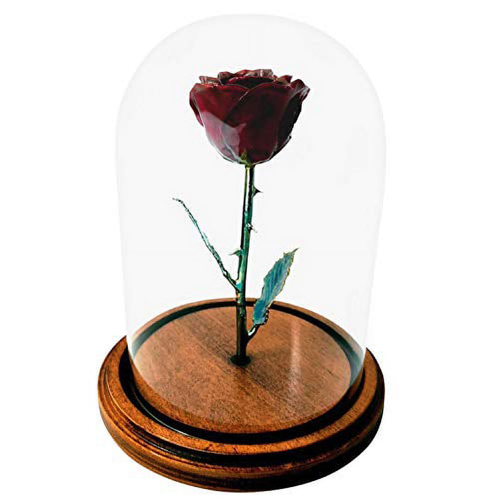 Forever Rose Enchanted Rose, a Genuine, One of a Kind, Real Burgundy ...