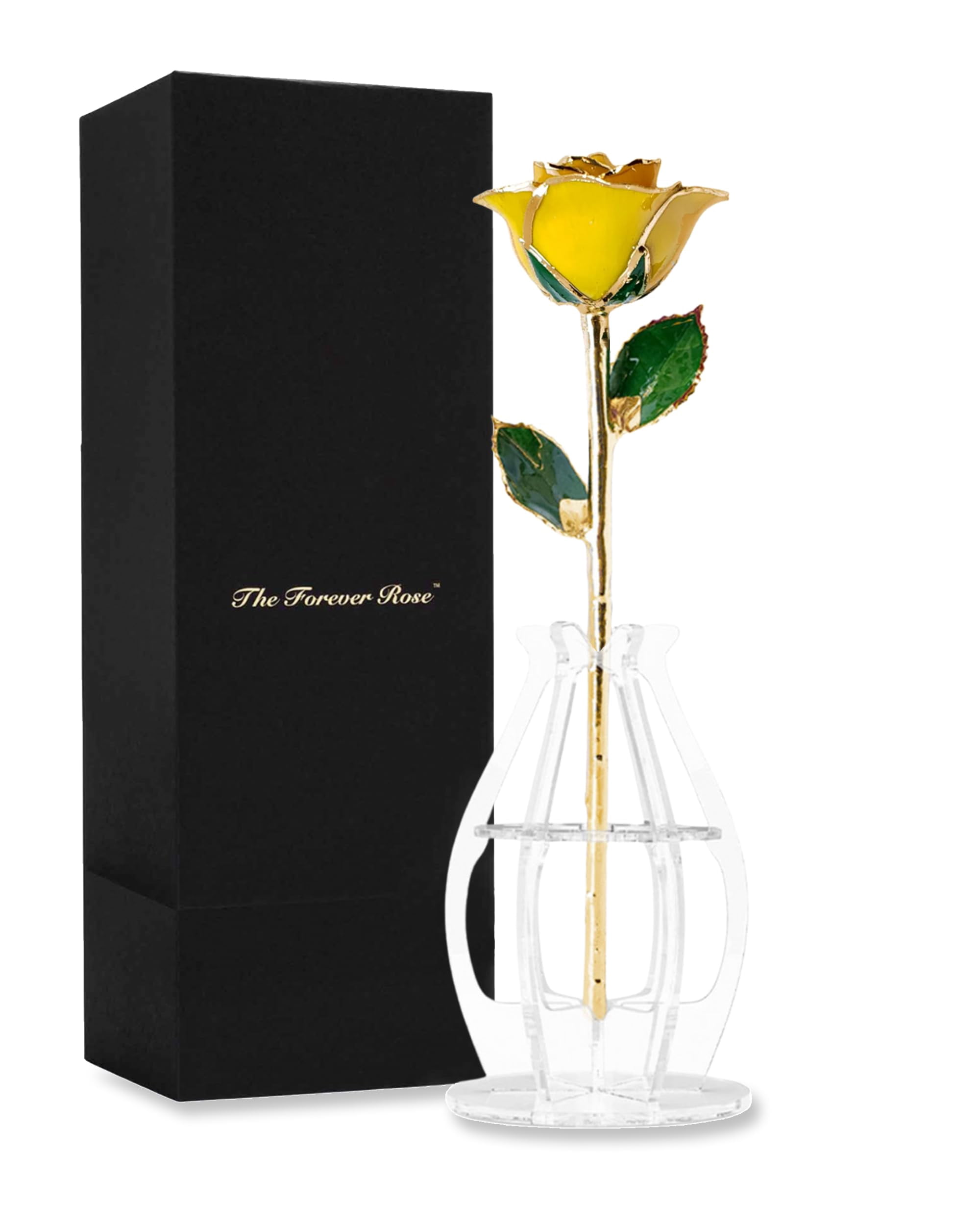 Forever Rose Gold Trimmed Yellow Open Bloom Real Rose Dipped in 24K ...
