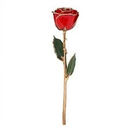 Forever Rose, a Genuine, One of a Kind, Real Red Rose, Hand Dipped in Lacquer and Trimmed in 24K Gold