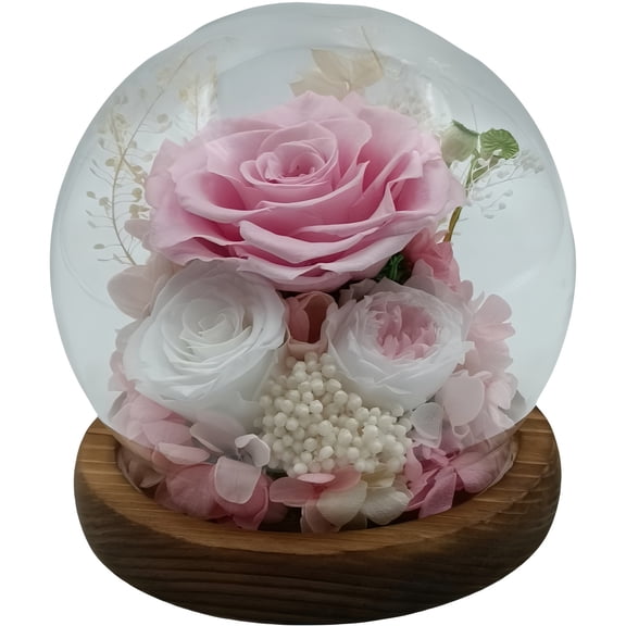 Handcrafted Preserved Forever Roses in Glass Globe - Pink/White with Wooden Base for Home Decor