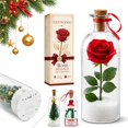 Forever Voice Recorder Christmas Tree Ornament, 20-Second Recordable ...