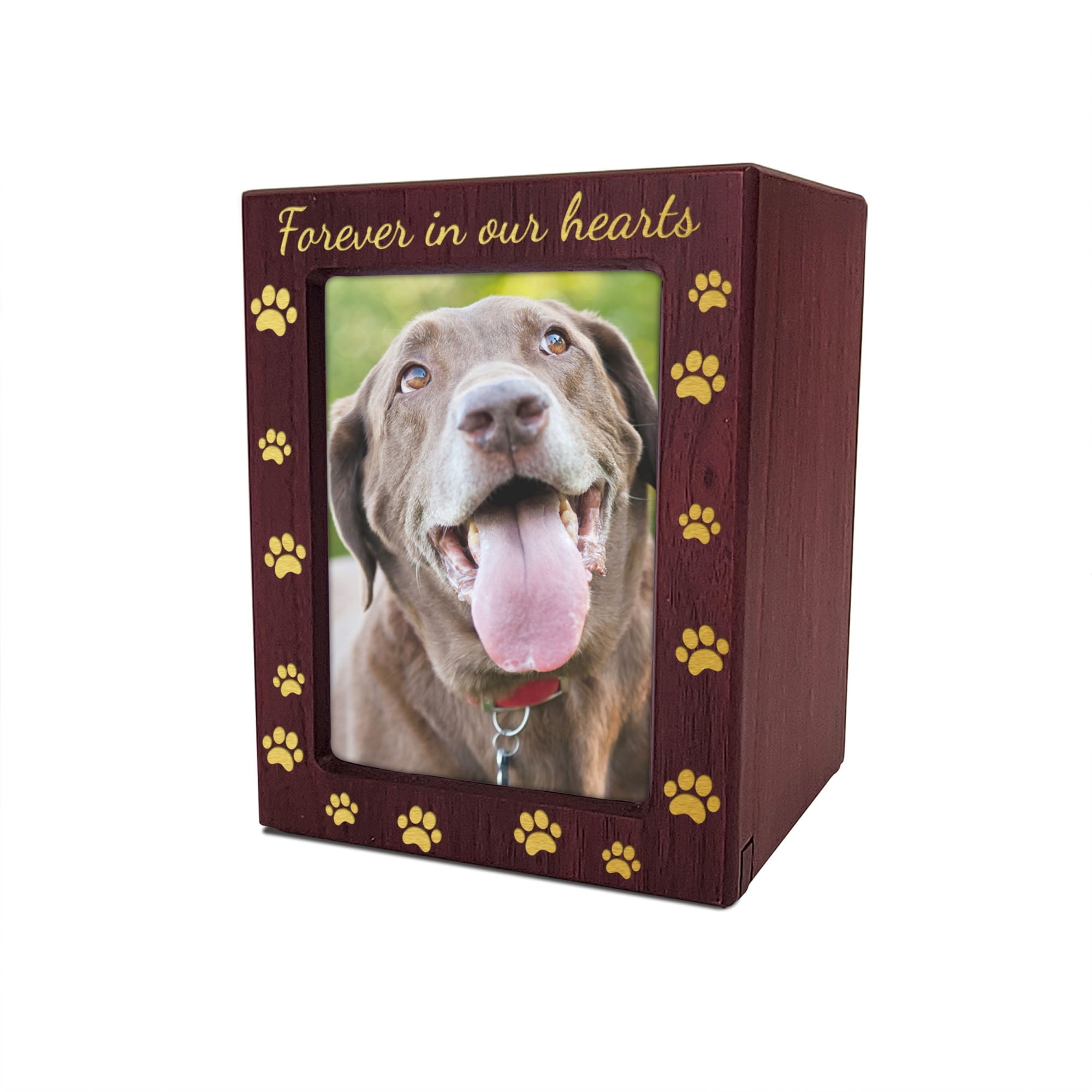Forever in Our Hearts Pet Memorial Photo Urn Engraved Paw Prints