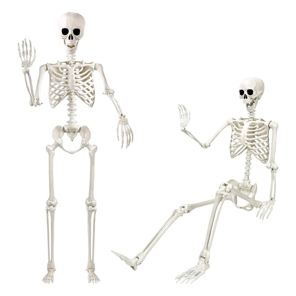 Forfamy 90cm/3ft Halloween Skeleton Decorations, Realistic Halloween Skeleton Full Body Human Skeletons with Movable Joints for Outdoor Garden(1PCS)