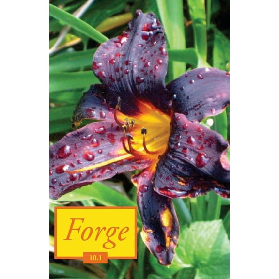 Forge 10.1 (Paperback)