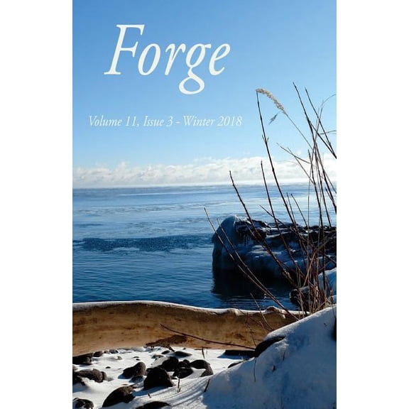Forge 11.3 (Paperback)
