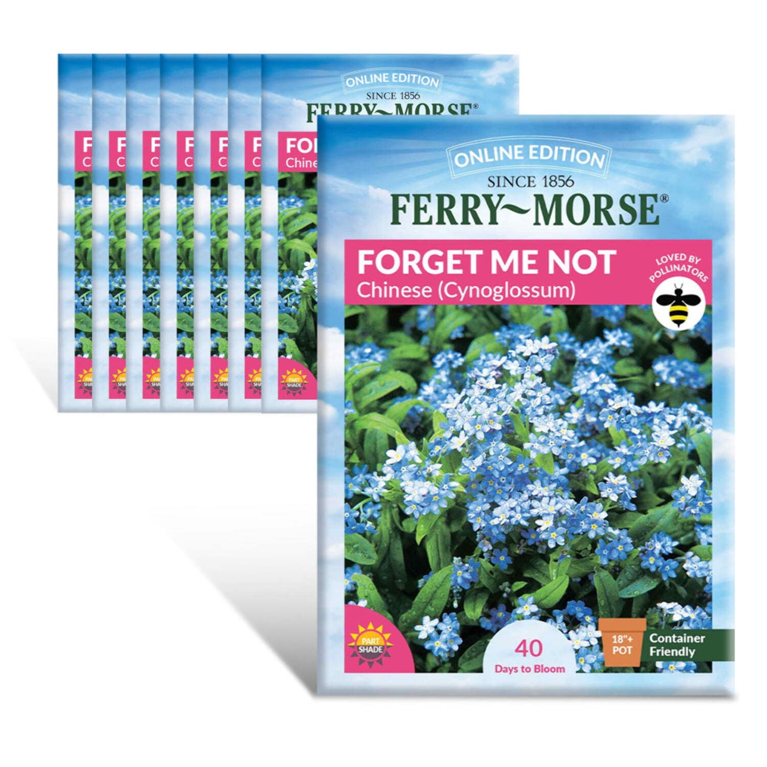 Woodland Forget Me Not