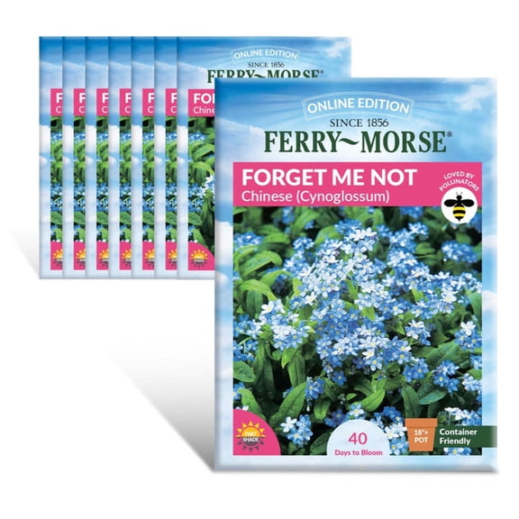 Ferry-Morse Online Edition Forget-Me-Not Flower Seed Bundle - 8 Pack