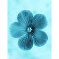 thumbnail image 1 of Forget Me Not Blue II Poster Print - Parchment Teton (18 x 24), 1 of 3