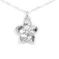 thumbnail image 1 of Forget-Me-Not Flower Necklace Sterling Silver - Gift Boxed with Endearing Goodbye Story Card - Made in USA (24 Inch Chain), 1 of 5