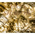 thumbnail image 1 of Forget, 1 of 1