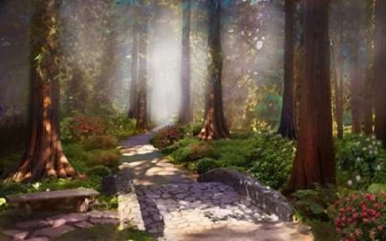 Forgiveness is the Path to Peace Canvas Art - David M Maclean (24 x 36)