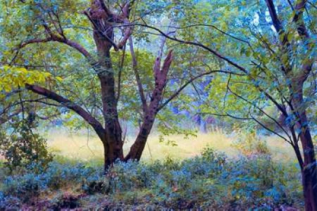Forgotten Day Dreams Canvas Art - John Rivera (20 x 28)