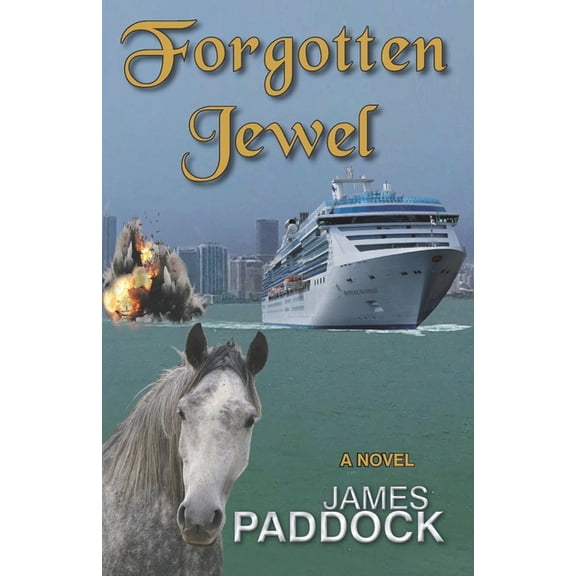 Forgotten Jewel (Paperback)