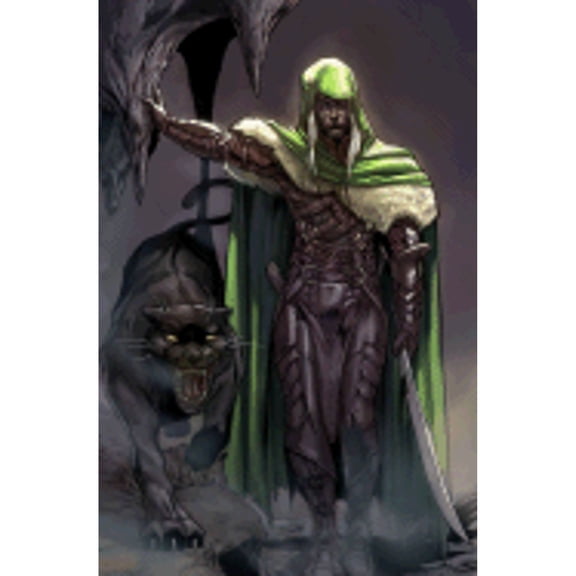 Pre-Owned Forgotten Realms: Dark Elf Trilogy - Homeland v. 1 (Paperback 9781932796407) by R. A. Salvatore, Andrew Daab, Tim Seeley
