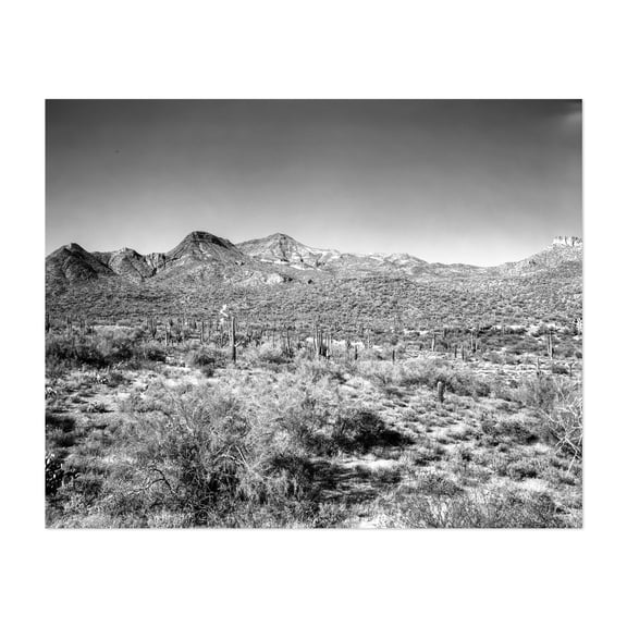 Forgotten Scottsdale - Cave Creek Arizona Photography Desert Black and White Landscape Cactus Nature Mountain Scenic Unframed Wall Art Print 5 x 7 inches
