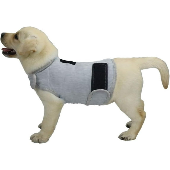Forievic Comfort Dog Anxiety Relief Coat, Dog Anxiety Calming Vest Wrap for Thunderstorm, Travel, Fireworks, Vet Visits, Separation Anxiety Relief for Dogs