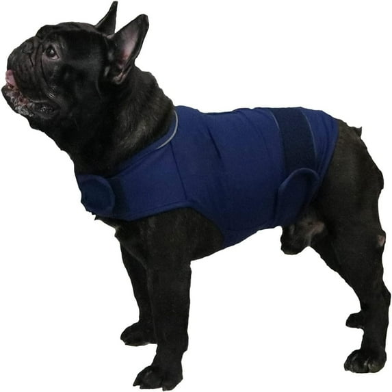 Forievic Comfort Dog Anxiety Relief Coat, Dog Anxiety Calming Vest Wrap for Thunderstorm, Travel, Fireworks, Vet Visits, Blue M