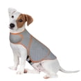 thumbnail image 1 of Forievic Dog Anxiety Jacket, Small, Platinum Sport - Dog Anxiety Relief Calming Vest, 1 of 5