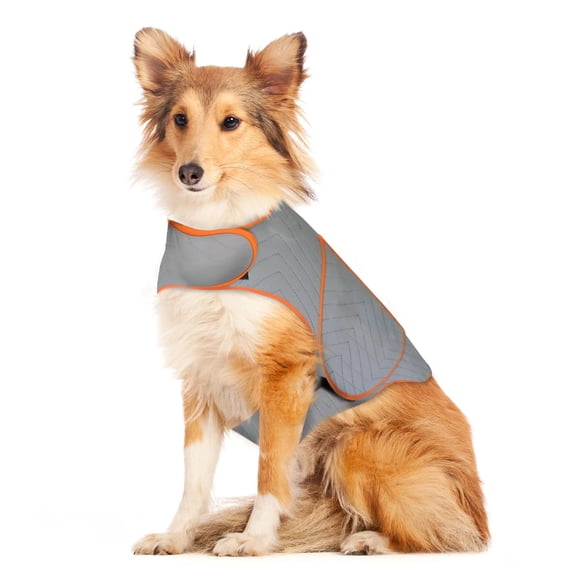 Forievic Dog Anxiety Jacket, X Large, Platinum Sport - Dog Anxiety Relief Calming Vest